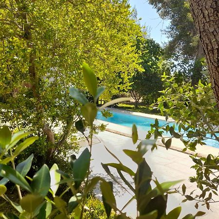 Villa La Dimora Dei Gelsi à Castri di Lecce Extérieur photo