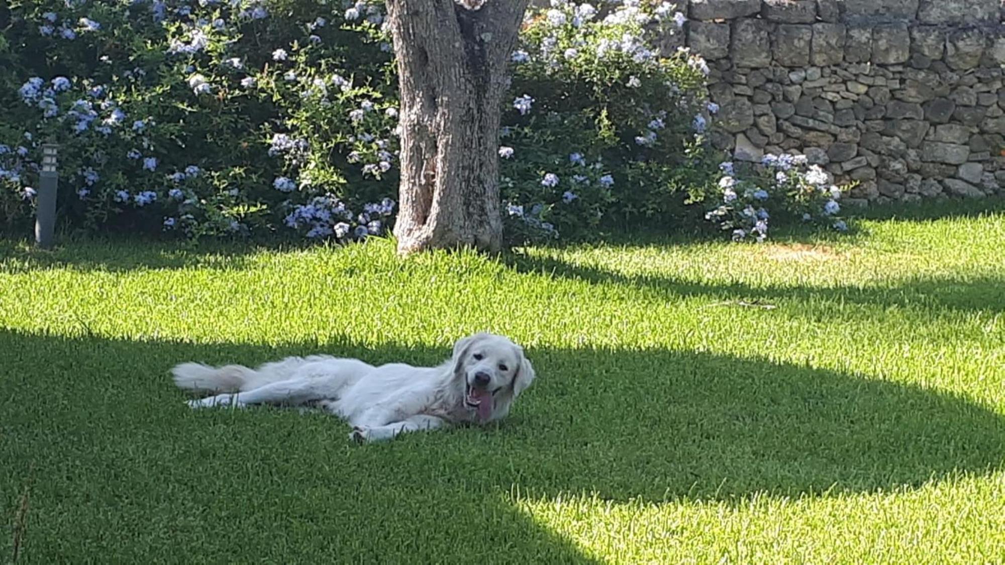 Villa La Dimora Dei Gelsi à Castri di Lecce Extérieur photo